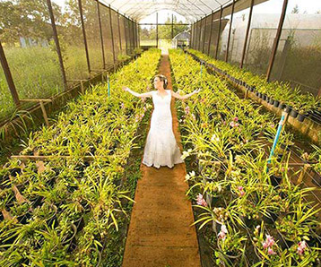Convite de casamento em brasilia - Espaço Florativa